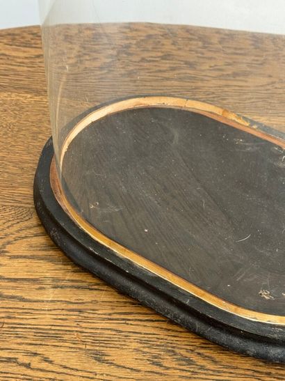 Domed glass globe, blackened wood base.
49...