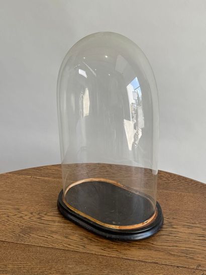 Domed glass globe, blackened wood base.
49...
