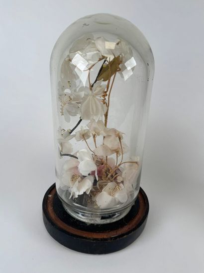 Lot including :
- a curved glass globe, the...