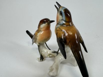 Karl ENS (1802-1865).
Couple of birds.
Large...