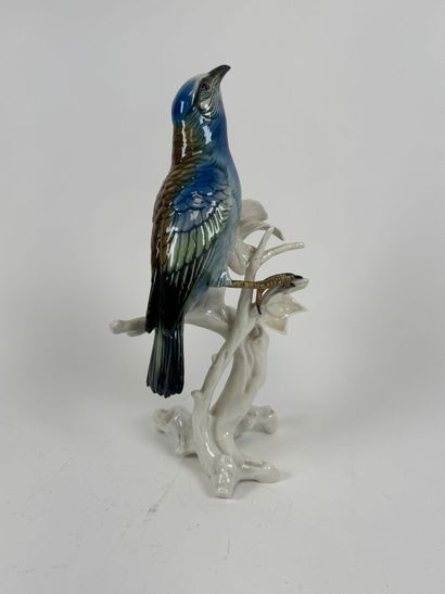 Karl ENS (1802-1865).
Blue bird.
Large polychrome...