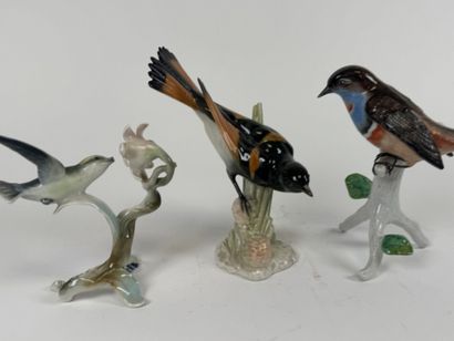 MUSTSCHENREUTHER and others.
Three polychrome...