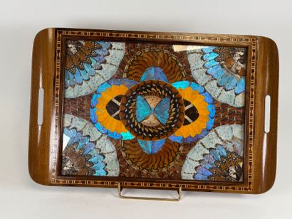 Rectangular tray with two wooden handles...
