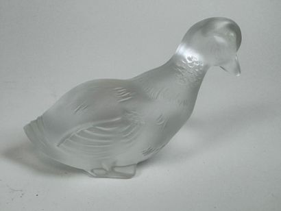 BACCARAT. 
Duck subject. 
Small subject in...