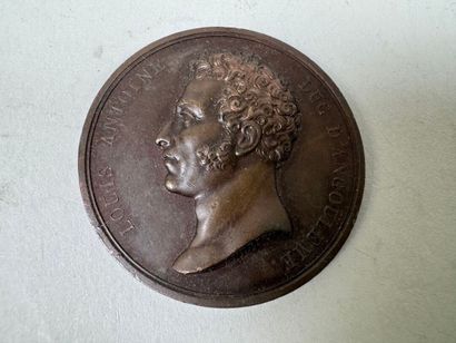 Lot of 7 bronze medals.
19th century.
D....