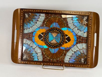 Rectangular tray with two wooden handles...