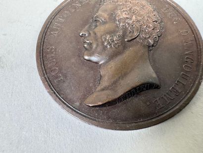 Lot of 7 bronze medals.
19th century.
D....