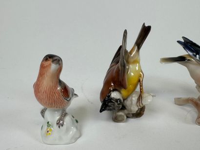 Collection of five polychrome porcelain subjects,...