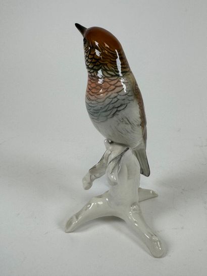 Karl ENS (1802-1865).
Connected bird.
Large...