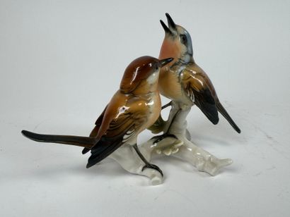 Karl ENS (1802-1865).
Couple of birds.
Large...