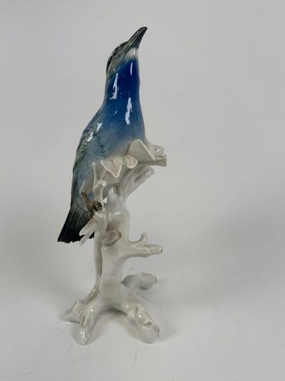 Karl ENS (1802-1865).
Blue bird.
Large polychrome...