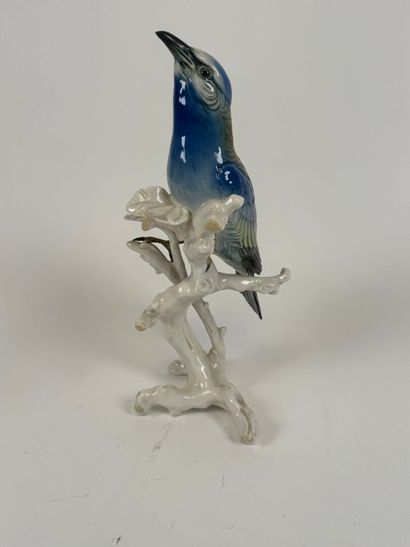Karl ENS (1802-1865).
Blue bird.
Large polychrome...