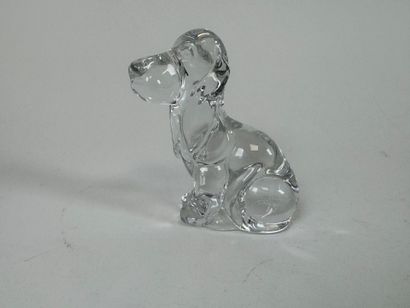 DAUM France. 
Dog with big ears.
Small subject...