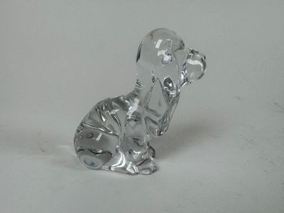 DAUM France. 
Dog with big ears.
Small subject...