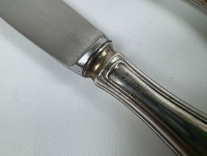 Set of 10 table and entremet knives, handles...