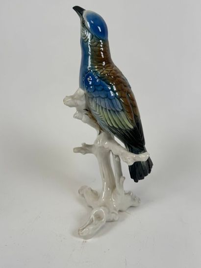 Karl ENS (1802-1865).
Blue bird.
Large polychrome...