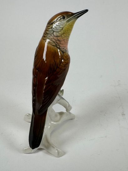 Karl ENS (1802-1865).
Connected bird.
Large...