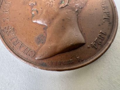 Lot of 7 bronze medals.
19th century.
D....