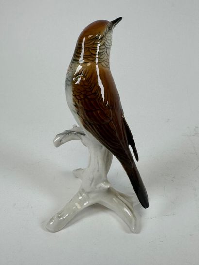 Karl ENS (1802-1865).
Connected bird.
Large...