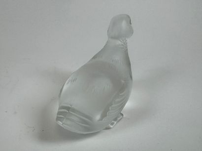 BACCARAT. 
Duck subject. 
Small subject in...