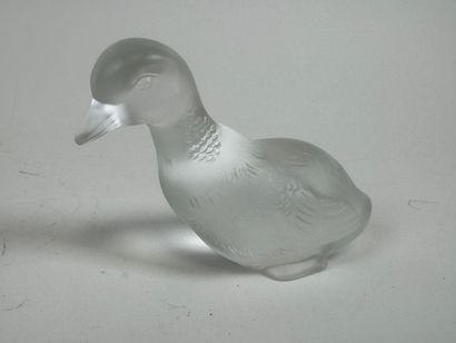 BACCARAT. 
Duck subject. 
Small subject in...