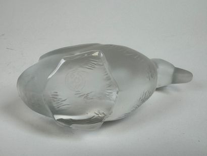 BACCARAT. 
Duck subject. 
Small subject in...