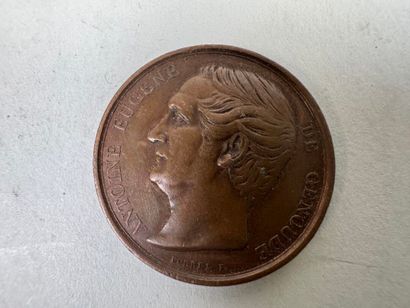 Lot of 10 medals in bronze or metal.
19th...