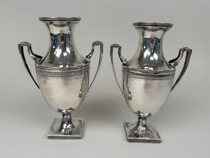 Paire de vases ovoïdes sur piédouches en...