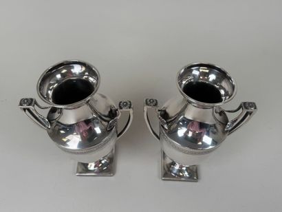 Paire de vases ovoïdes sur piédouches en...