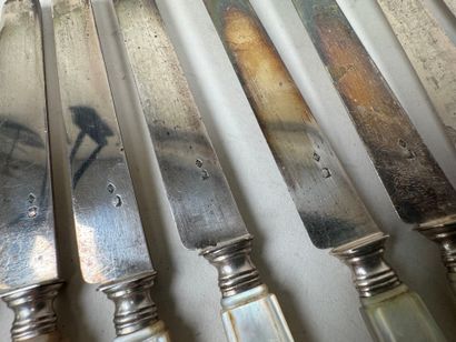 Série de 12 couteaux à fruits, les lames...