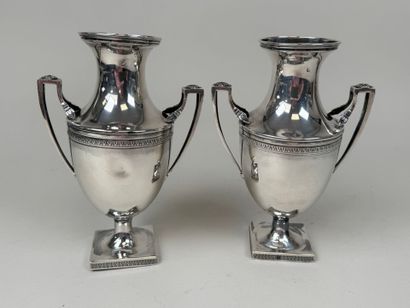 Paire de vases ovoïdes sur piédouches en...