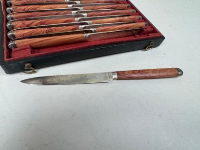 Série de 12 couteaux à fruit, les lames en...