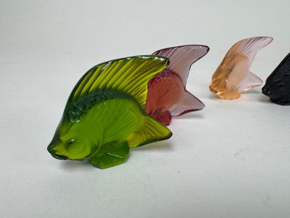 LALIQUE, France.
Collection de 9 poissons...