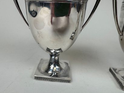 Paire de vases ovoïdes sur piédouches en...