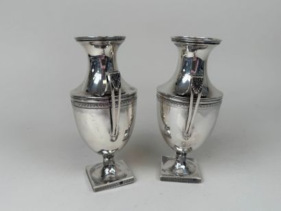 Paire de vases ovoïdes sur piédouches en...
