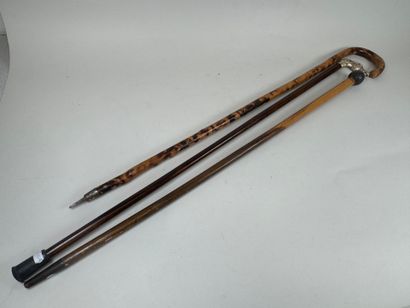 Set of three wood and bamboo canes, one with...
