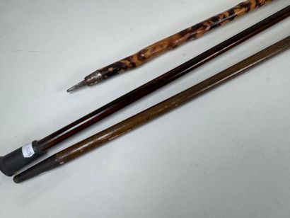 Set of three wood and bamboo canes, one with...