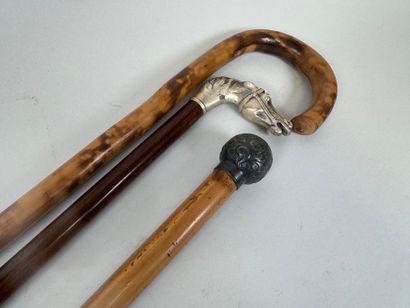 Set of three wood and bamboo canes, one with...