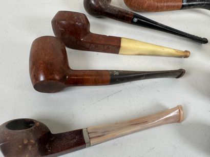Set of nine wood and horn pipes.
L. 15 cm...