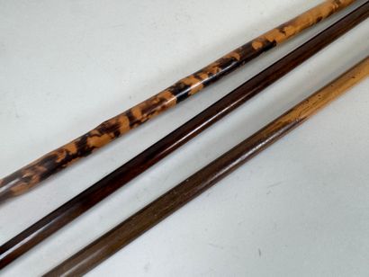 Set of three wood and bamboo canes, one with...