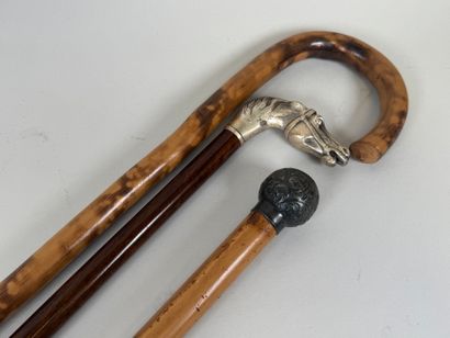 Set of three wood and bamboo canes, one with...
