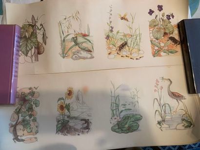 [DIVERS] 
20 Planches en couleurs en 5 feuilles...