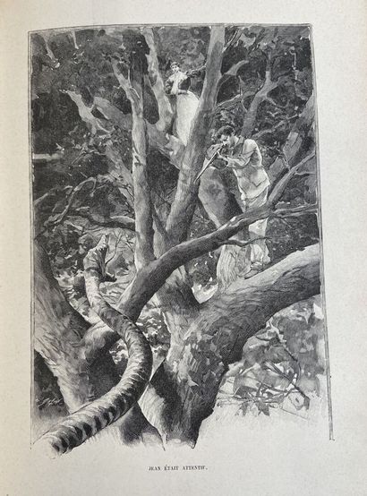 CARTONNAGES HACHETTE XIXEME]
Environ 6 volumes...