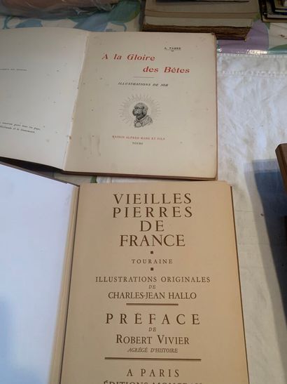 Vieilles Pierres de France, Touraine, illustrations...