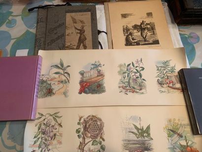 [DIVERS] 
20 Planches en couleurs en 5 feuilles...