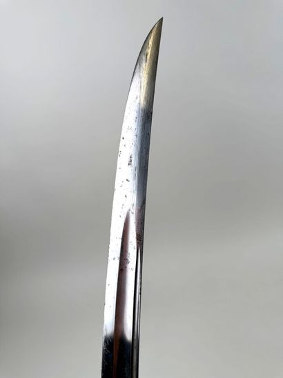 France, 2nd Empire (1852-1870).
Sabre troupe...