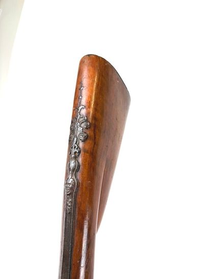 Allemagne, XIXème.
Longue canardière à percussion...