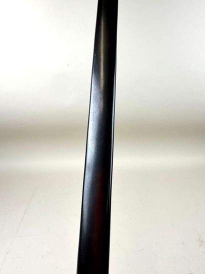 Autriche-Hongrie, fin XIXe - début XXe.
Sabre...