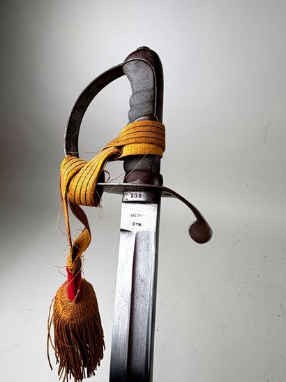 Autriche-Hongrie, fin XIXe - Début XXe.
Sabre...
