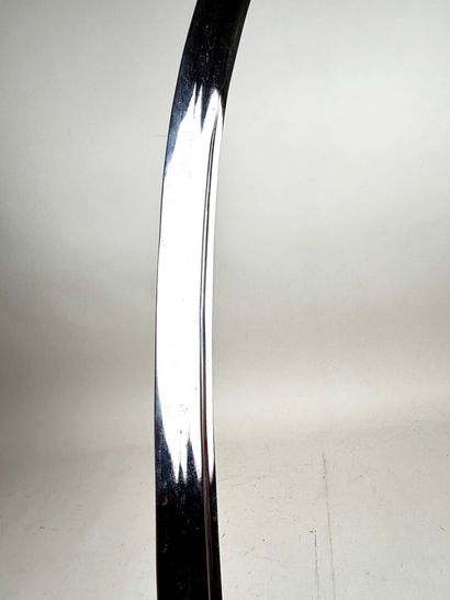 Empire Indo-Persan, 2nd moitié XIXème.
Sabre...